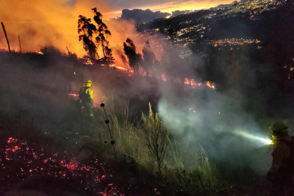 Bomberos de Quito intentan controlar el flagelo. Foto: Cortesía