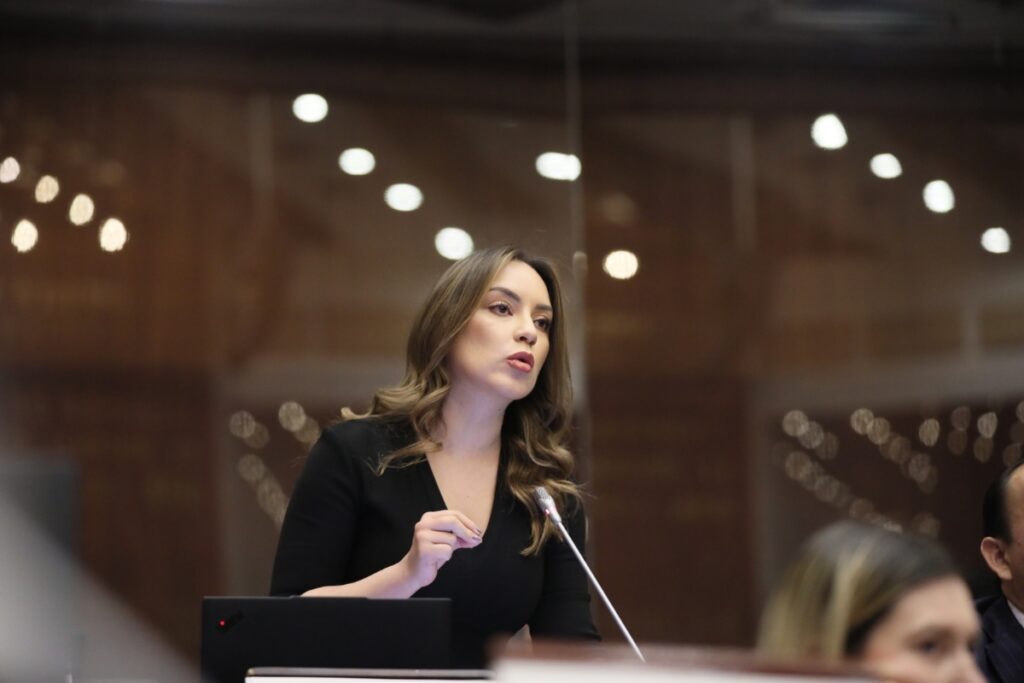 Ley Antimafias pasa el primer debate en la Asamblea.