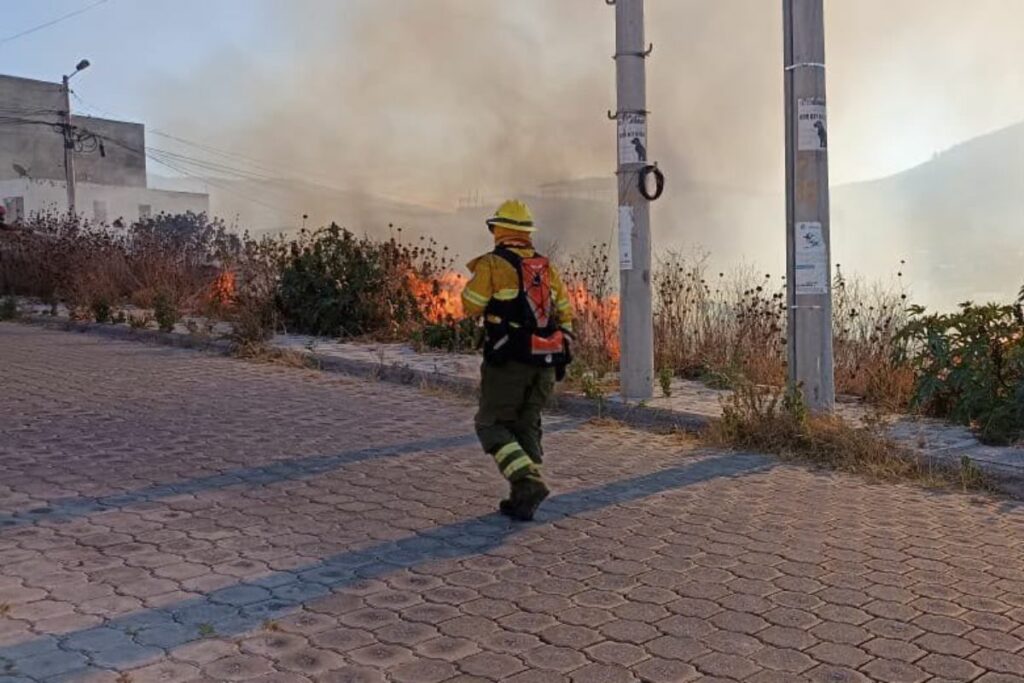 El Cuerpo de Bomberos Quito combate un incendio forestal.