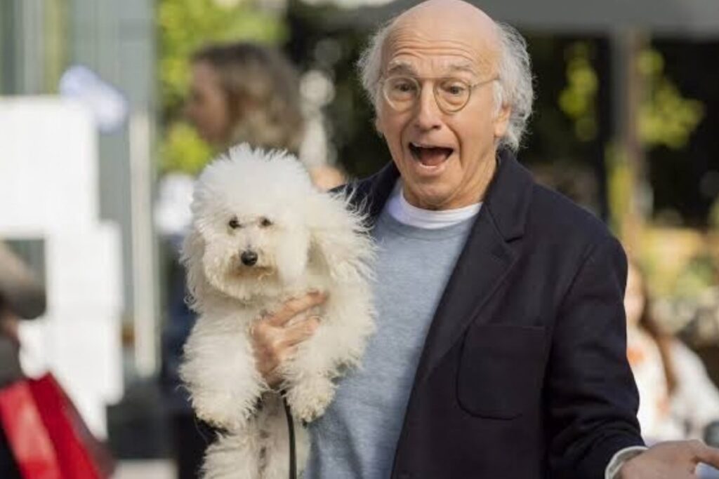 ‘Curb Your Enthusiasm’