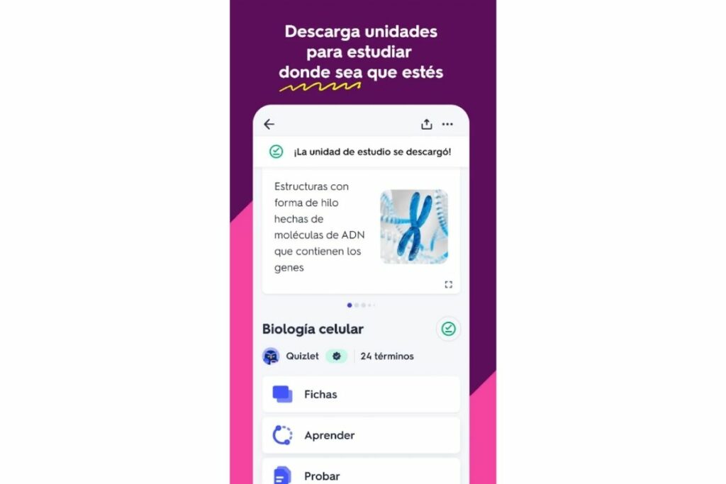 Interfaz de 'app' Quizlet.