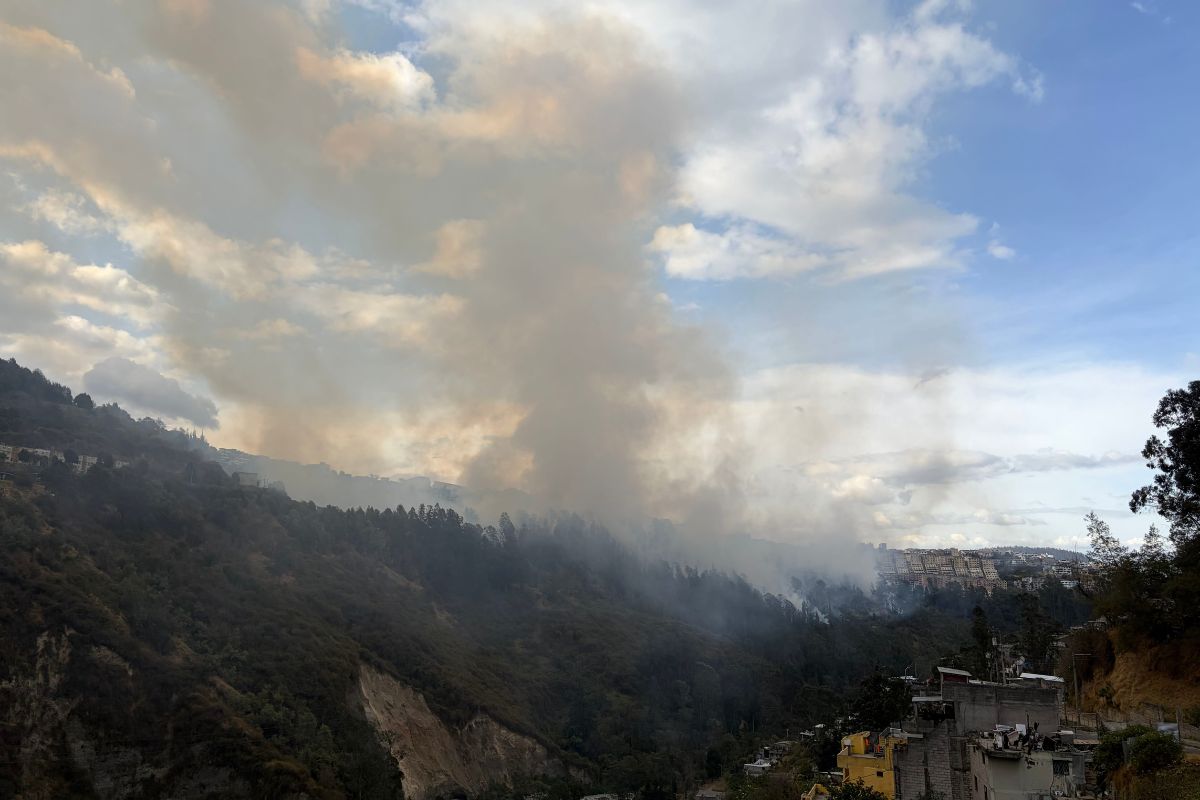 Los recientes incendios forestales en Quito exigen replantear las estrategias de prevención