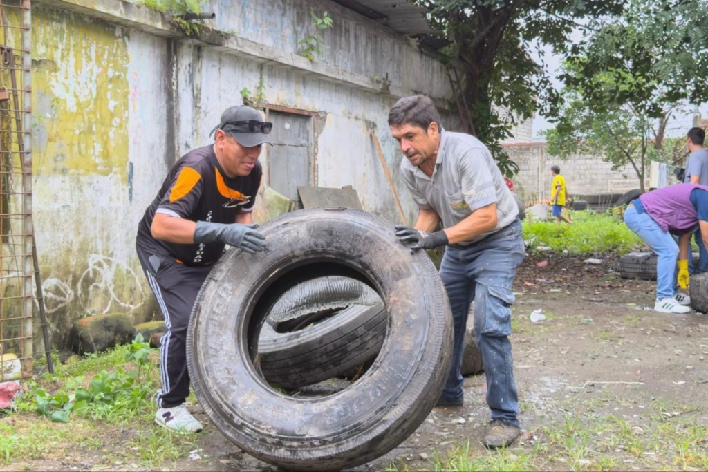 Brigadas sanitarias destruyeron casi tres millones de criaderos del mosquito del dengue en el país.