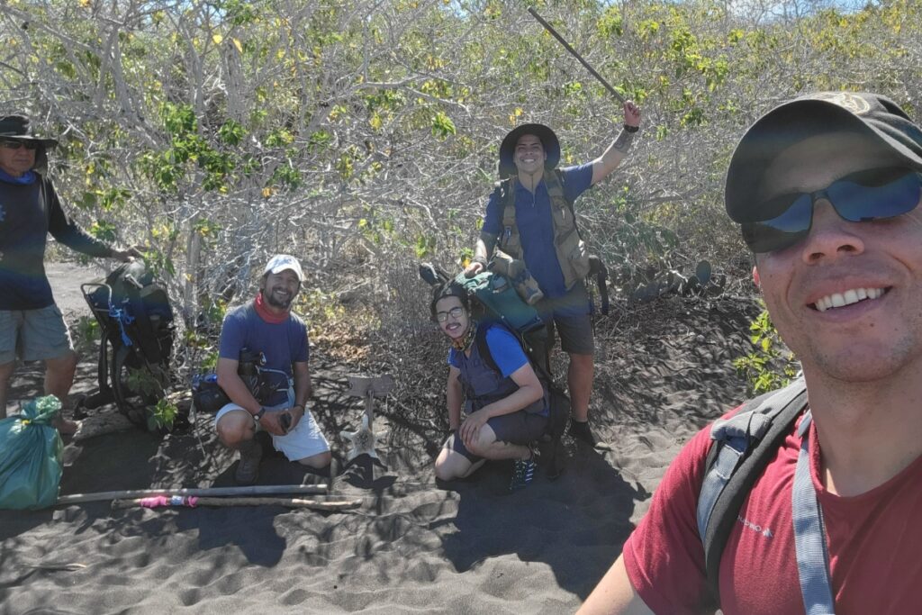 Henri Herrera, líder del proyecto, recolecta hormigas sobre un mangle en la isla Santiago. Foto Patricio Picón-Rentería.