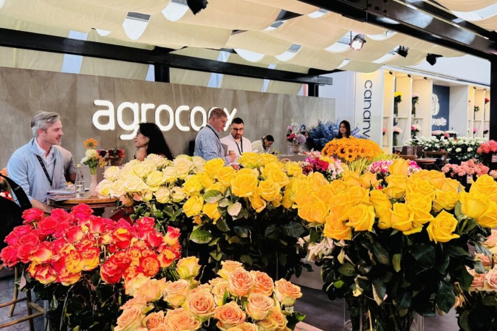expo flor ecuador 2024