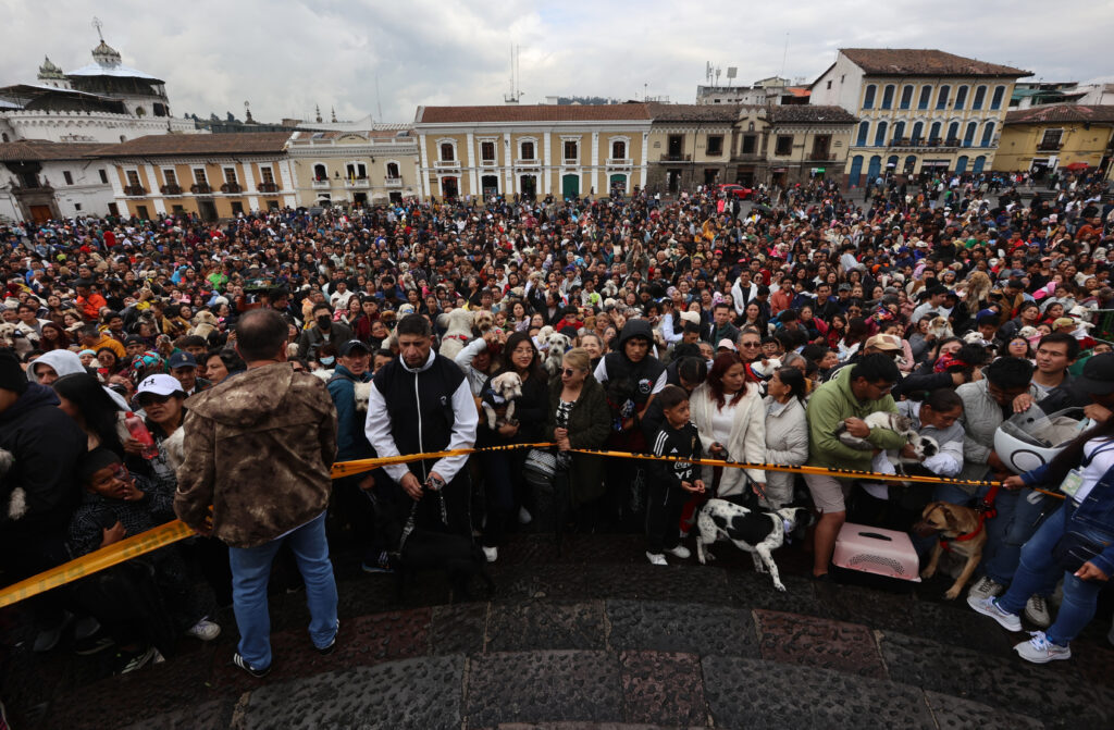 os creyentes llegaron con sus mascotas a la plaza de San Francisco para que los animales reciban la bendición de los religiosos. Foto: Diego Pallero / EL COMERCIO